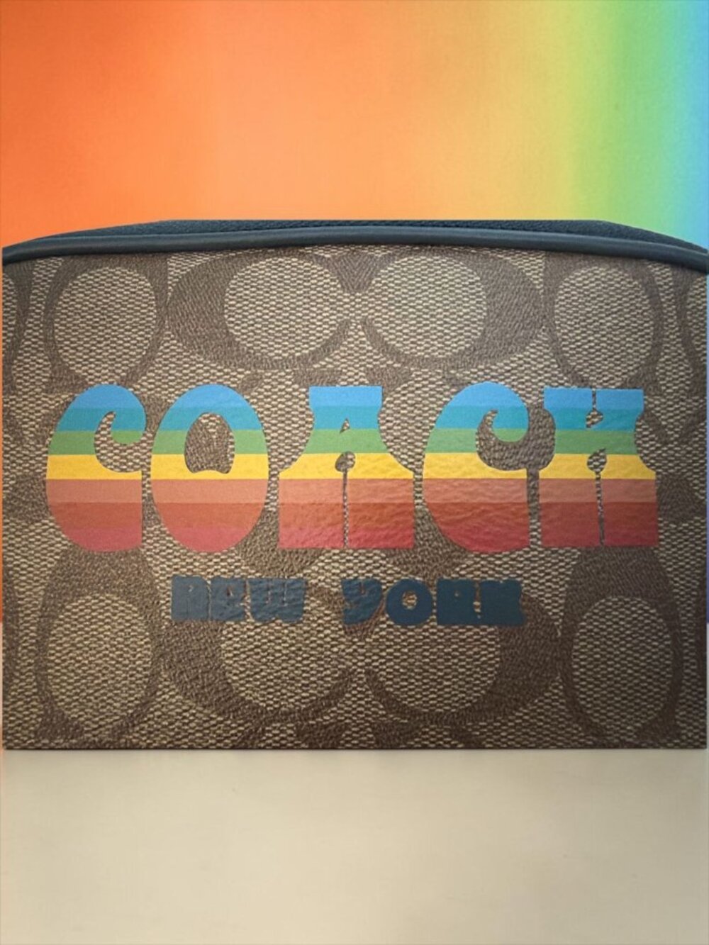 Coach Crossbody Pouch F73066 Rainbow LOGO Signature Canvas Heart Bag Charm PRIDE